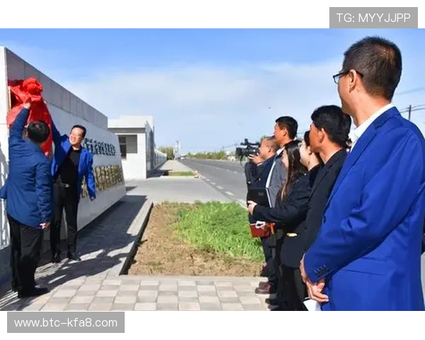 玩转K8凯发国际登录，分享我的成功经验与心得体会