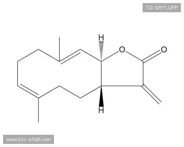 深入分析K8凯发游戏网址的安全保障措施,确保玩家资金与个人信息安全 深入分析K8凯发游戏网址的安全保障措施,确保玩家资金与个人信息安全